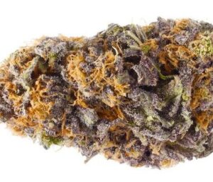 Grand Daddy Purple